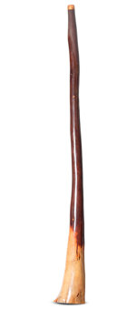 Epoxy Resin Finish Didgeridoo (TM420)